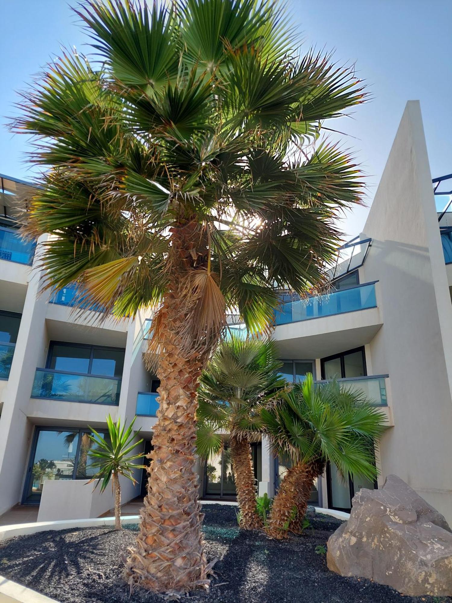 Slow Time By Sea There Fuerteventura Apartment